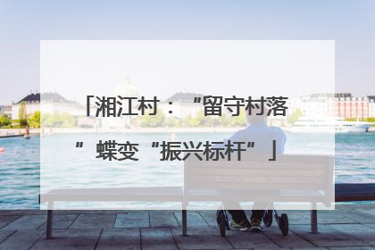 湘江村：“留守村落”蝶变“振兴标杆”